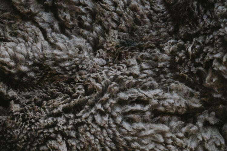 pima cotton