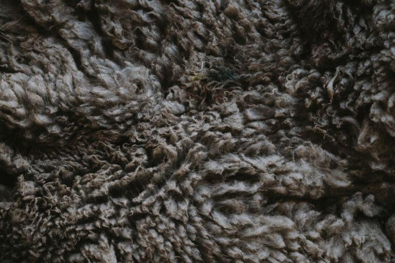 pima cotton