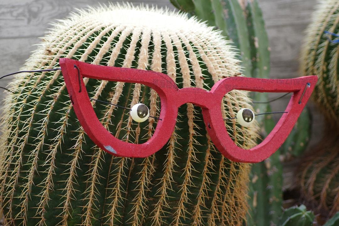 hipster