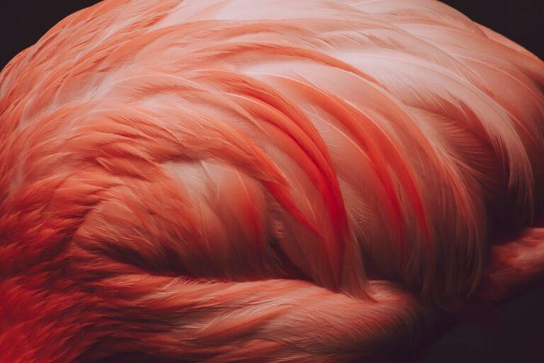 hair dyeing