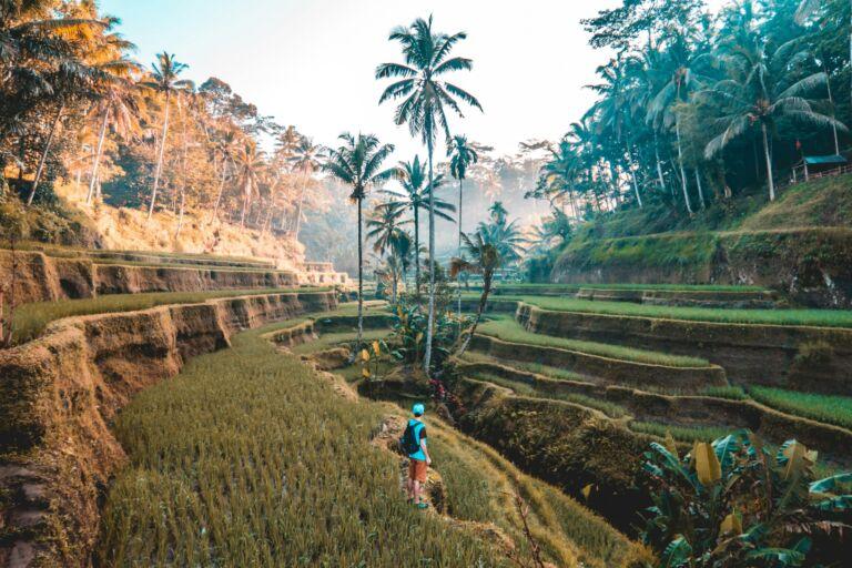 eco travel